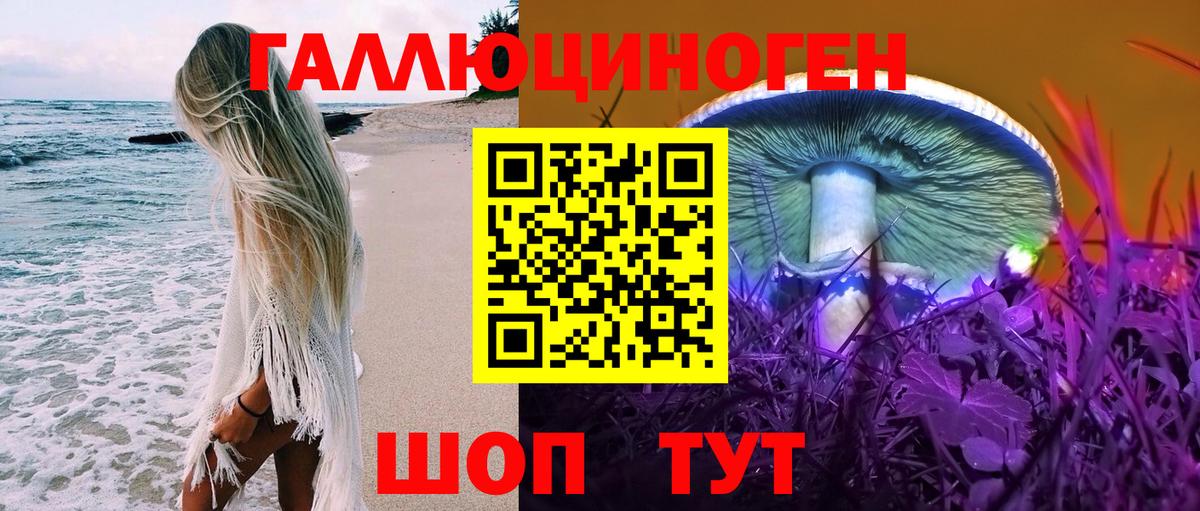 Галлюциногенные грибы Psilocybine cubensis Татарск